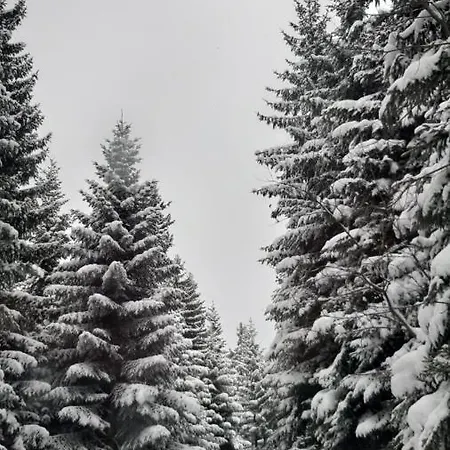 Kuca Za Odmor Ravna Planina Pale